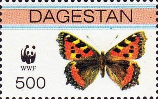 Butterfly