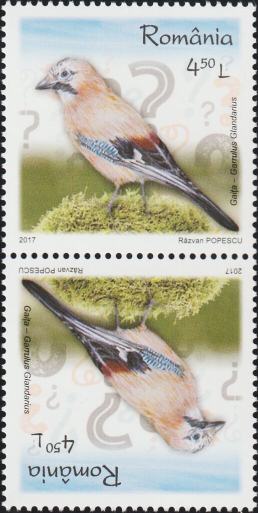 Eurasian Jay Tête-bêche Pair Type I