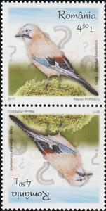 Tete-Beche, Eurasian Jay Tête-bêche Pair Type I, Romania,  , Animals (Fauna), Birds