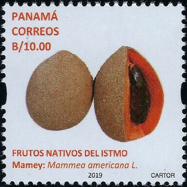 Mamey (Mammea americana)