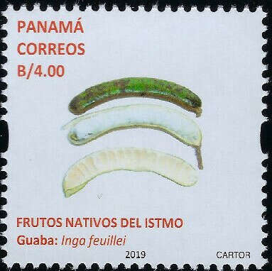 Pacay/Guaba (Inga feuillei)