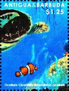 Rear of Green Sea Turtle (Chelonia mydas), Clownfish