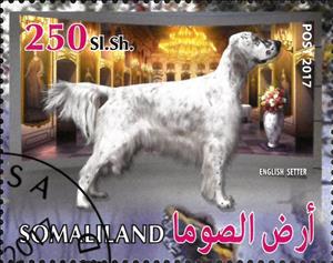 Stamp, English Setter, Cinderellas,  , Animals (Fauna), Dogs, Mammals