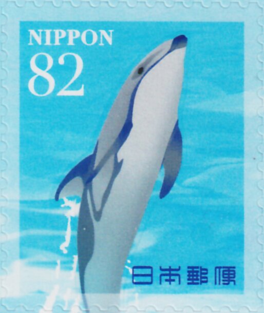 Dolphins