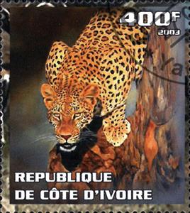 Stamp, Leopard, Cinderellas,  , Animals (Fauna), Cats, Leopards, Mammals