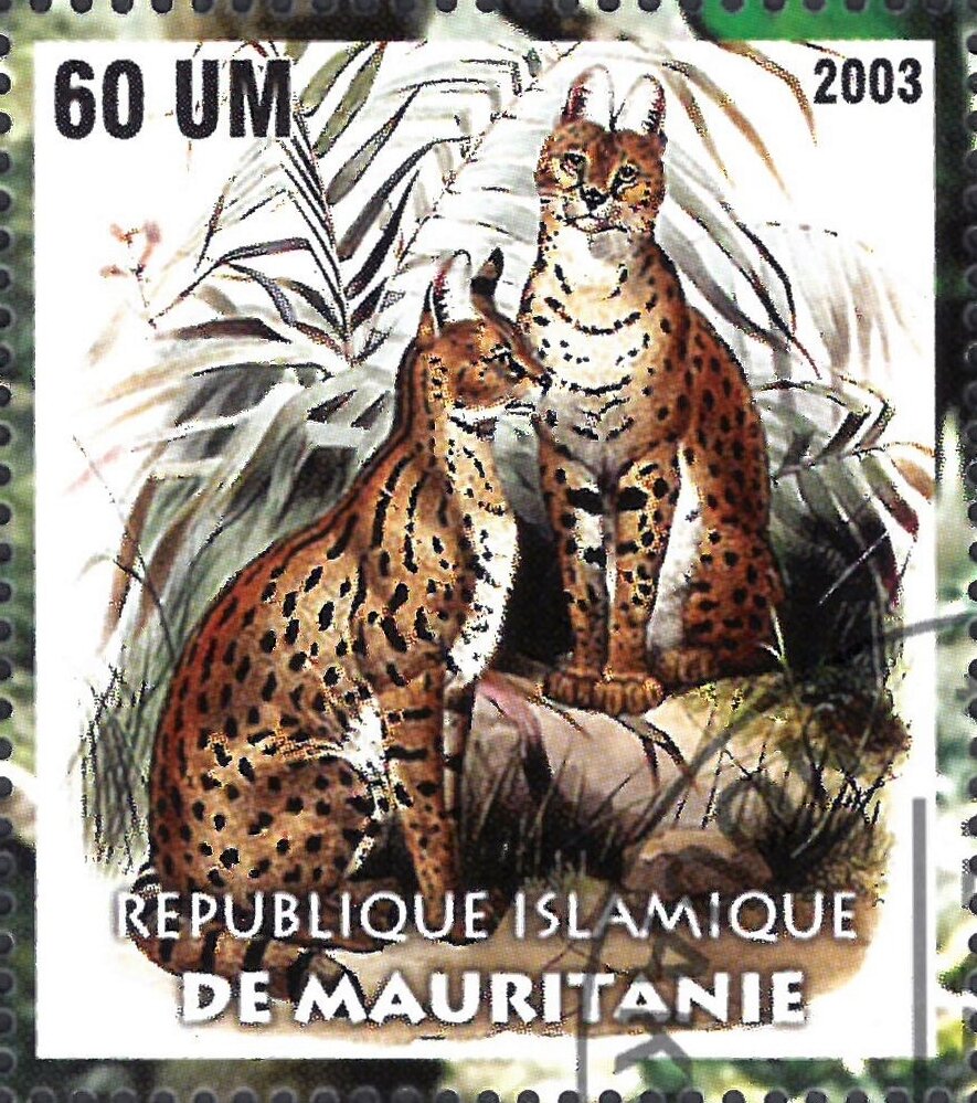The Nature Conservancy