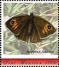 Maniola jurtina