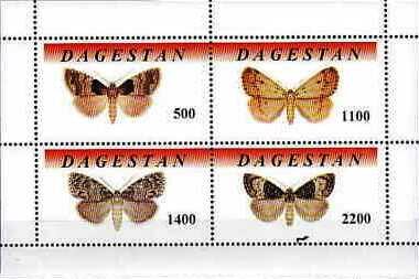 Butterflies
