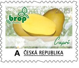 BROP 14 - Capri