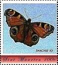 Inachis io