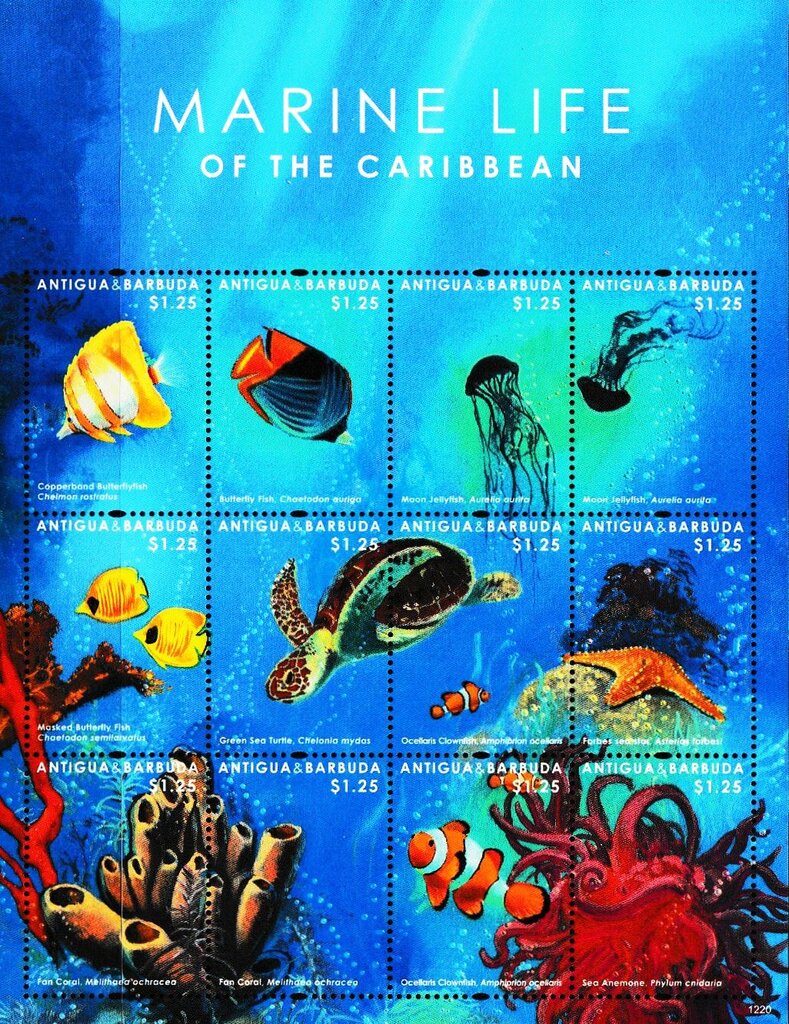 Marine Life