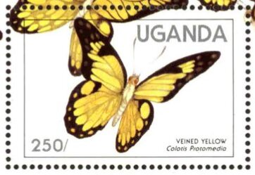 Stamp, Yellow Splendour (Colotis protomedia), Uganda,  , Animals (Fauna), Butterflies