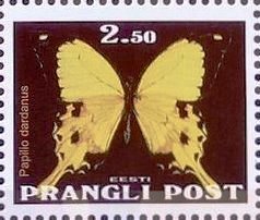 Papilio dar