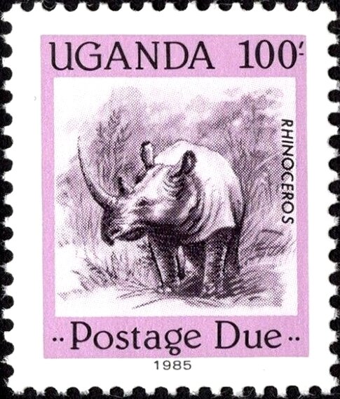 Rhinoceros