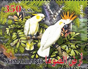 Stamp, Cacatua Galerita, Cinderellas,  , Animals (Fauna), Birds, Parrots