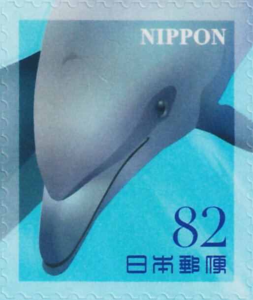 Dolphins