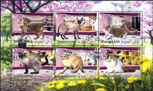 Mini Sheet, Cats, Cinderellas,  , Animals (Fauna), Cats, Mammals
