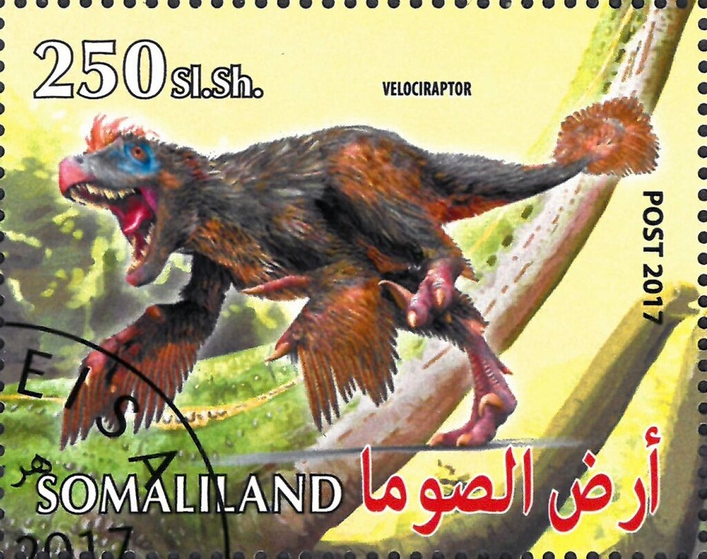 Velociraptor