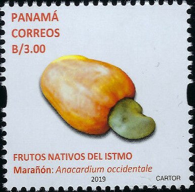 Cashew Apple (Anacardium occidentale)