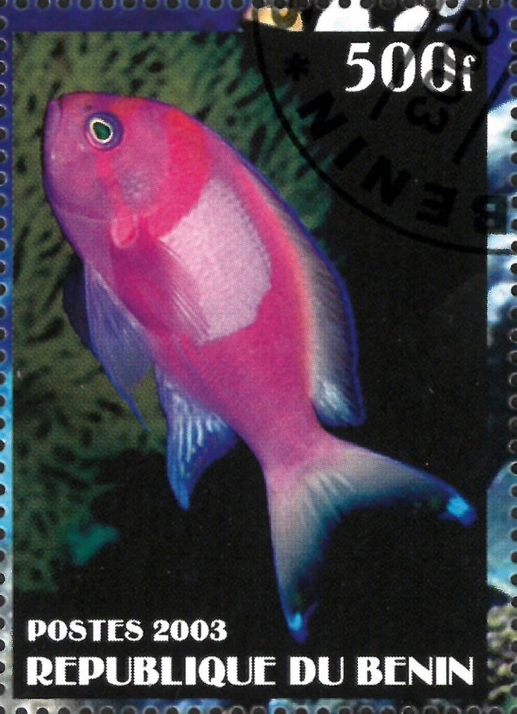 Fish