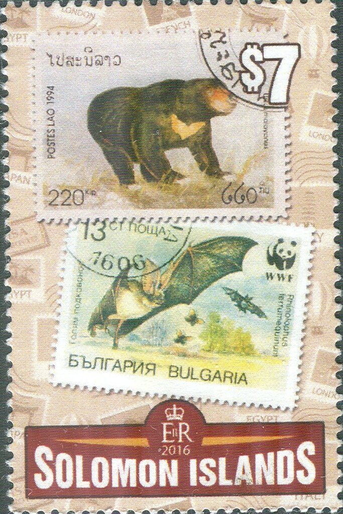 Sun Bear, Greater Horseshoe Bat