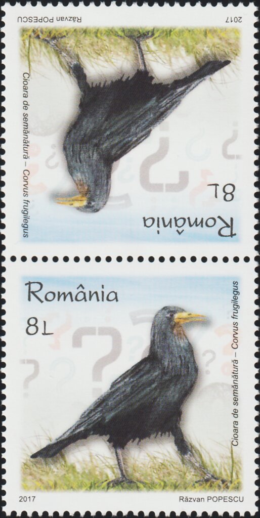 Rook Tête-bêche Pair Type II