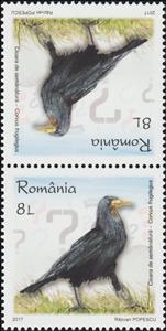 Tete-Beche, Rook Tête-bêche Pair Type II, Romania,  , Animals (Fauna), Birds