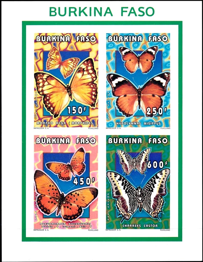 Butterflies