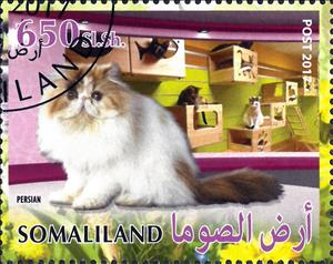 Stamp, Persian, Cinderellas,  , Animals (Fauna), Cats, Mammals