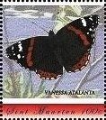 Vanessa atalanta
