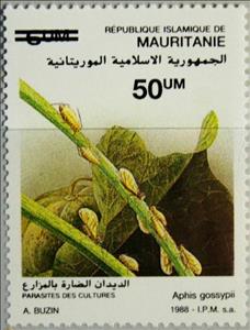 Stamp, Melon Aphid (Aphis gossypii), Mauritania,  , Crops