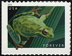 Stamp, Pacific Tree Frog (Pseudacris regilla), United States of America,  , Amphibians, Animals (Fauna), Frogs