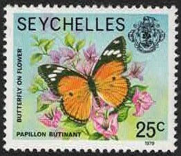Danaid Eggfly (Hypolimnas misippus) - 1979