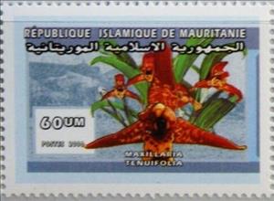 Stamp, Maxillaria tenuifolia, Mauritania,  , Flowers, Plants (Flora)