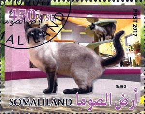 Stamp, Siamese, Cinderellas,  , Animals (Fauna), Cats, Mammals