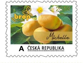 BROP 6 - Michelle