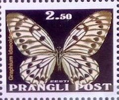 Graphium Idaeiodes