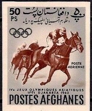 Horse Racing, Hore (Equus ferus caballus)