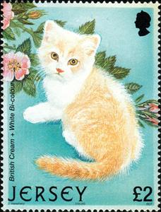 Stamp, British Cream/White Bi-colour Cross (Felis silvestris catus), Jersey,  , Animals (Fauna), Cats, Mammals