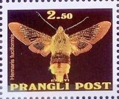 Stamp, Hemaris fuciformis, Cinderellas,  , Animals (Fauna), Butterflies, Insects