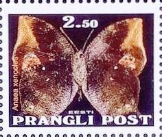Anaea xenocles