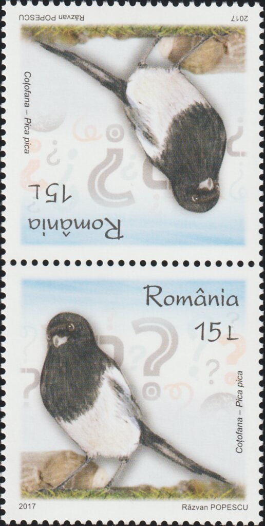 Common Magpie Tête-bêche Pair Type II