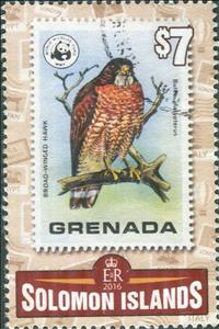 Stamp, Broad-winged Hawk (Buteo platypterus), Solomon Islands,  , Animals (Fauna), Birds, Birds of Prey, Philately, Stamps