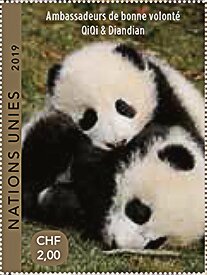 Giant Panda (Ailuropoda melanoleuca)