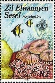 Corals