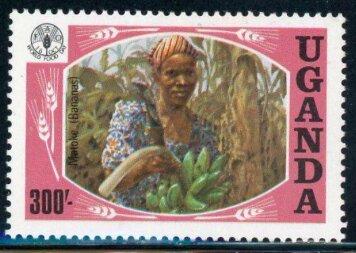 Banana crop