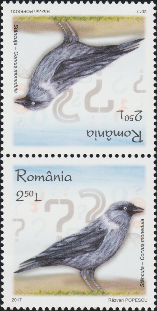 European Jackdaw Tête-bêche Pair Type II