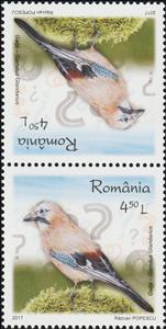 Tete-Beche, Eurasian Jay Tête-bêche Pair Type II, Romania,  , Animals (Fauna), Birds