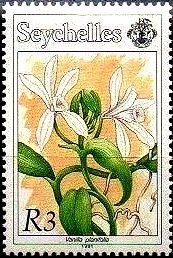 Stamp, Vanilla planifolia, Seychelles,  , Flowers, Orchids, Plants (Flora)