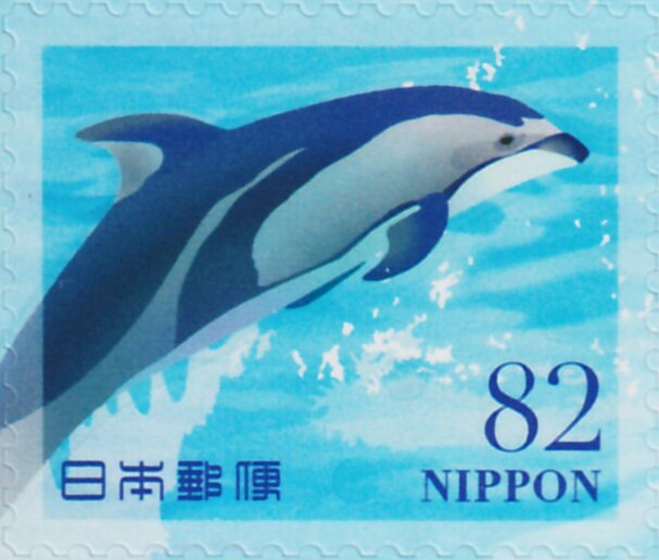 Dolphins